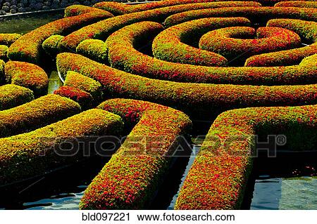 Stock Image - Maze-shaped hedges in formal garden. Fotosearch