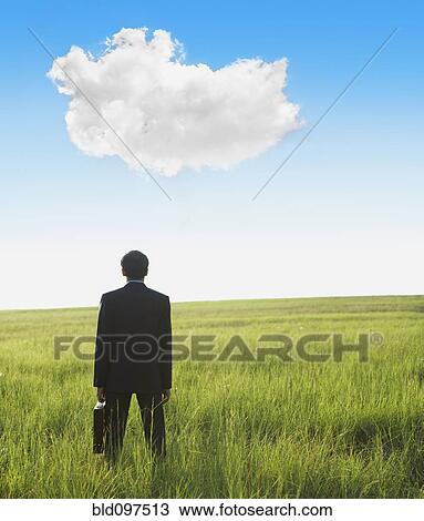 Stock Image - Middle Eastern businessman in field looking at cloud. Fotosearch