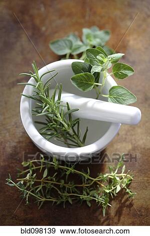 Mortar and pestle with fresh herbs View Large Photo Image Stock Photo - Mortar and pestle with fresh herbs. Fotosearch