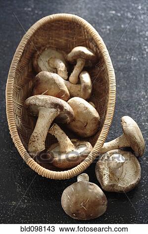 Mushrooms in basket View Large Photo Image Stock Image - Mushrooms in basket. Fotosearch