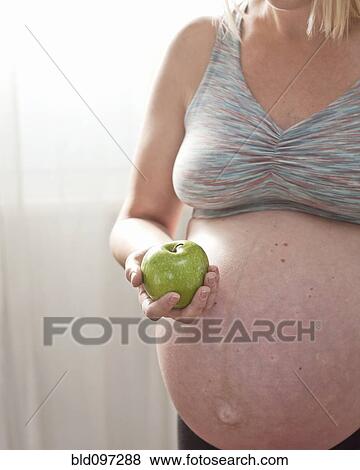 Pregnant Caucasian woman holding green apple View Large Photo Image Stock Photo - Pregnant Caucasian woman holding green apple. Fotosearch