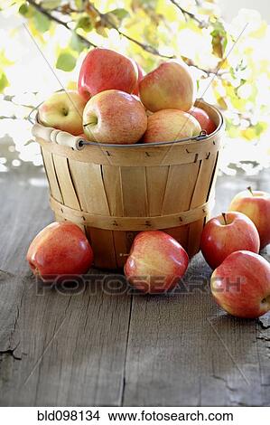 Picture - Red apples overflowing basked. Fotosearch