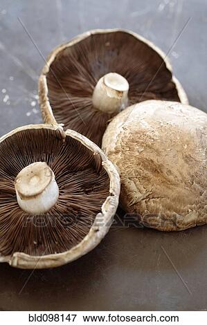 Stock Photo - Shitake mushroom caps. Fotosearch