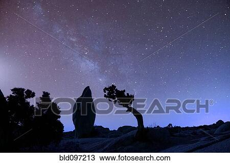 Stock Image - Stars in sky over desert. Fotosearch
