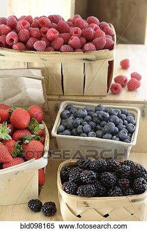 Various fresh berries in baskets View Large Photo Image Stock Photography - Various fresh berries in baskets. Fotosearch
