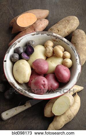 Various potatoes in bowl View Large Photo Image Stock Image - Various potatoes in bowl. Fotosearch