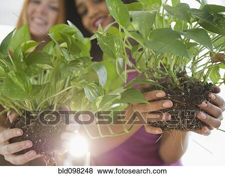 Women holding potted plants View Large Photo Image Stock Photo - Women holding potted plants. Fotosearch