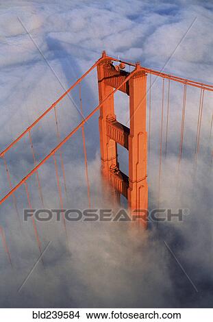 Aerial view of orange bridge over fog View Large Photo Image Picture - Aerial view of orange bridge over fog. Fotosearch