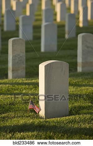 Stock Photograph - American flag at cemetery gravestone. Fotosearch