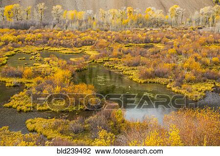 Autumn leaves near pond View Large Photo Image Stock Image - Autumn leaves near pond. Fotosearch