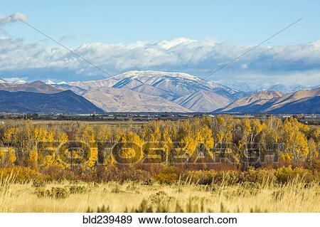 Stock Photo - Autumn trees in mountain landscape. Fotosearch