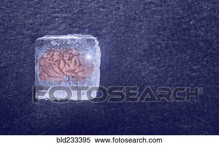 Brain frozen in ice cube View Large Photo Image Stock Photography - Brain frozen in ice cube. Fotosearch