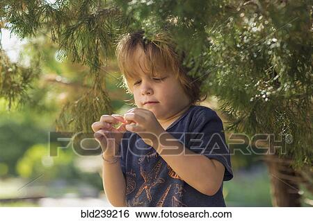 Caucasian boy examining berry from tree View Large Photo Image Stock Photograph - Caucasian boy examining berry from tree. Fotosearch