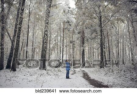 Caucasian boy looking up in snowy forest View Large Photo Image Stock Image - Caucasian boy looking up in snowy forest. Fotosearch