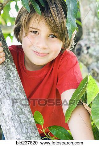Caucasian boy smiling in tree View Large Photo Image Stock Image - Caucasian boy smiling in tree. Fotosearch