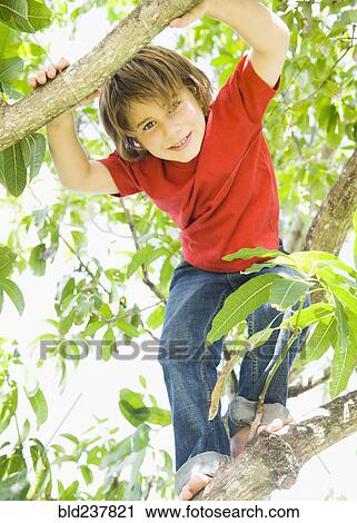 Stock Image - Caucasian boy smiling in tree. Fotosearch