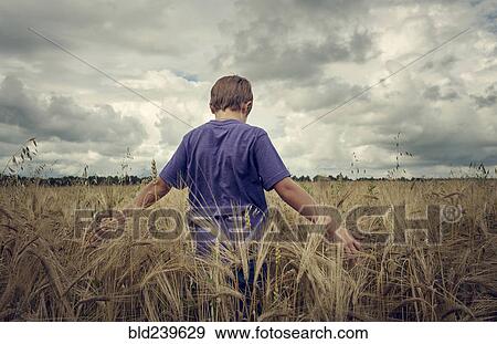 Stock Photo - Caucasian boy walking in field of wheat. Fotosearch