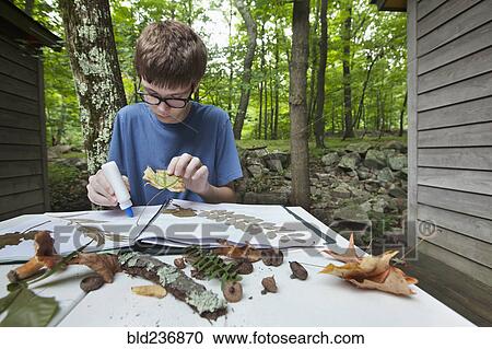 Stock Image - Caucasian boy with nature scrapbook outdoors. Fotosearch
