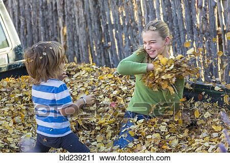 Caucasian brother and sister throwing autumn leaves View Large Photo Image Stock Image - Caucasian brother and sister throwing autumn leaves. Fotosearch