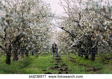 Caucasian couple kissing near trees View Large Photo Image Stock Photo - Caucasian couple kissing near trees. Fotosearch