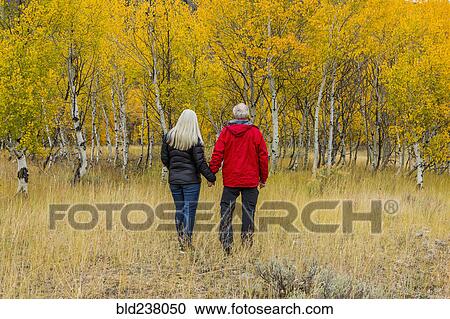 Stock Image - Caucasian couple walking in forest in autumn. Fotosearch