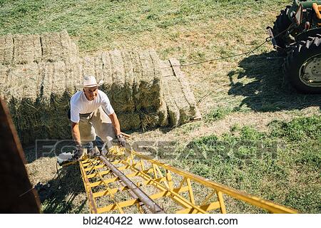 Stock Image - Caucasian farmer climbing ladder to barn. Fotosearch