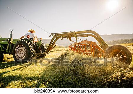 Caucasian farmer driving tractor View Large Photo Image Picture - Caucasian farmer driving tractor. Fotosearch