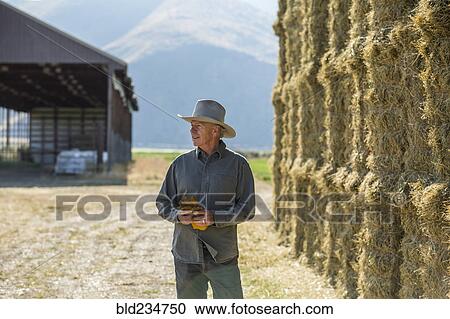 Caucasian farmer holding gloves near stacks of hay View Large Photo Image Stock Image - Caucasian farmer holding gloves near stacks of hay. Fotosearch