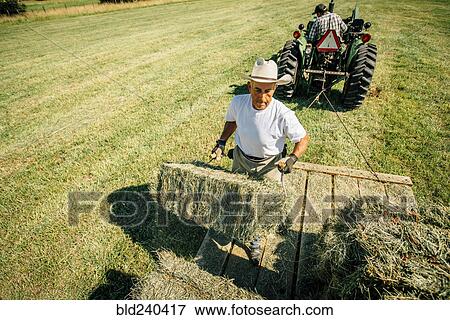 Stock Photo - Caucasian farmer lifting bale of hay. Fotosearch