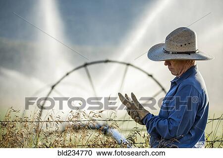 Caucasian farmer near barbed wire fence checking glove View Large Photo Image Stock Image - Caucasian farmer near barbed wire fence checking glove. Fotosearch