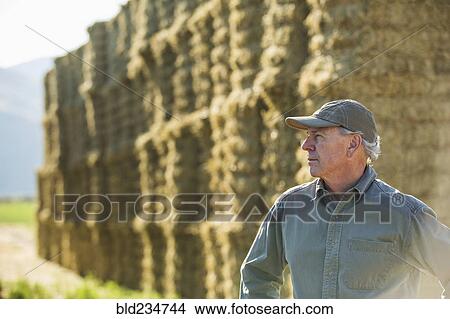 Picture - Caucasian farmer near stacks of hay. Fotosearch