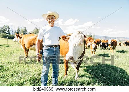 Caucasian farmer petting cow View Large Photo Image Stock Image - Caucasian farmer petting cow. Fotosearch