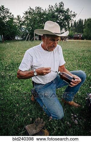 Caucasian farmer preparing vaccine in syringe View Large Photo Image Stock Photo - Caucasian farmer preparing vaccine in syringe. Fotosearch