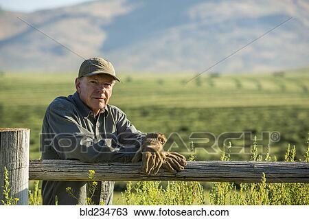 Stock Image - Caucasian farmer wearing gloves leaning on wooden fence. Fotosearch