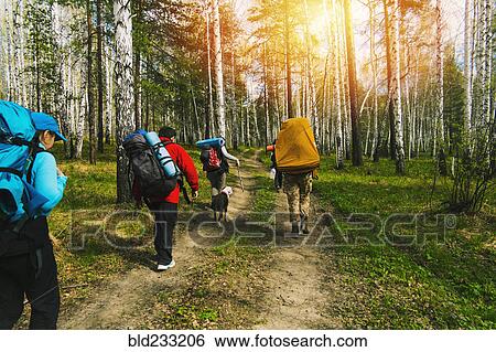 Caucasian friends backpacking with dog on forest path View Large Photo Image Stock Photograph - Caucasian friends backpacking with dog on forest path. Fotosearch