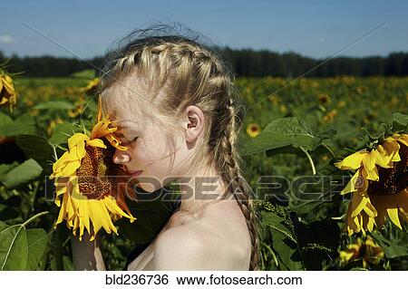 Caucasian girl smelling sunflower View Large Photo Image Stock Photograph - Caucasian girl smelling sunflower. Fotosearch