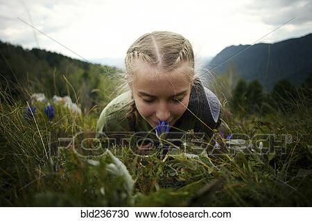 Caucasian girl smelling wildflower laying in grass on hill View Large Photo Image Stock Image - Caucasian girl smelling wildflower laying in grass on hill. Fotosearch