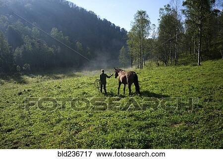 Stock Photo - Caucasian girl walking horse in field. Fotosearch