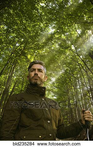 Picture - Caucasian hiker holding walking stick under sunny trees. Fotosearch