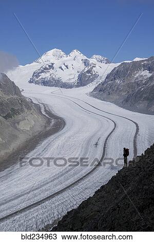 "Caucasian hiker on snowy road, Aletsch Glacier, Canton Graubunden, Switzerland" View Large Photo Image Stock Image - "Caucasian hiker on snowy road, Aletsch Glacier, Canton Graubunden, Switzerland". Fotosearch