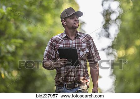 Stock Photo - Caucasian man holding digital tablet checking walnuts in orchard. Fotosearch