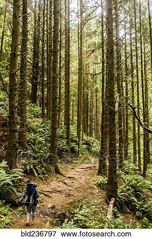 Caucasian mother carrying daughter on forest path View Large Photo Image Stock Photo - Caucasian mother carrying daughter on forest path. Fotosearch