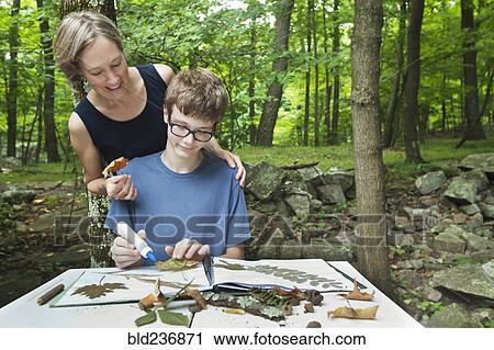Caucasian mother watching son with nature scrapbook outdoors View Large Photo Image Stock Image - Caucasian mother watching son with nature scrapbook outdoors. Fotosearch
