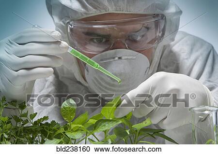 Stock Image - Caucasian scientist wearing clean suit dripping liquid on seedling. Fotosearch