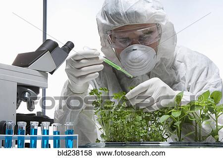 Stock Photo - Caucasian scientist wearing clean suit examining seedling. Fotosearch
