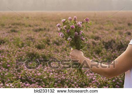 Stock Image - Caucasian woman holding bouquet of flowers in field. Fotosearch