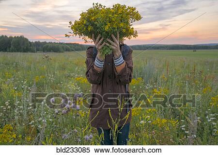 Stock Photography - Caucasian woman holding bouquet of flowers over face in field at sunset. Fotosearch