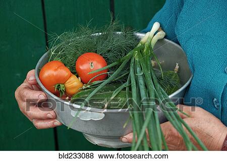 Stock Photo - Caucasian woman holding bowl of fresh vegetables. Fotosearch