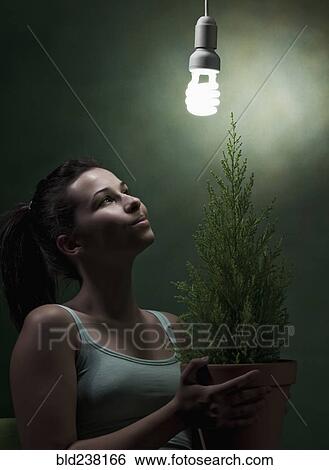 Caucasian woman holding potted plant under cfl lightbulb View Large Photo Image Stock Photograph - Caucasian woman holding potted plant under cfl lightbulb. Fotosearch
