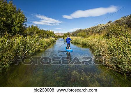 Caucasian woman paddleboarding on river View Large Photo Image Stock Photo - Caucasian woman paddleboarding on river. Fotosearch